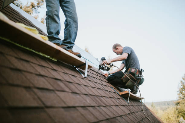 Best Roof Gutter Cleaning  in Tyrone, PA